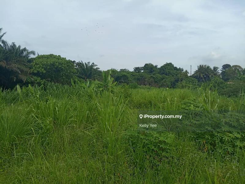For Sale - Agriculture Land @ Kampung Pondok Labu for Sale