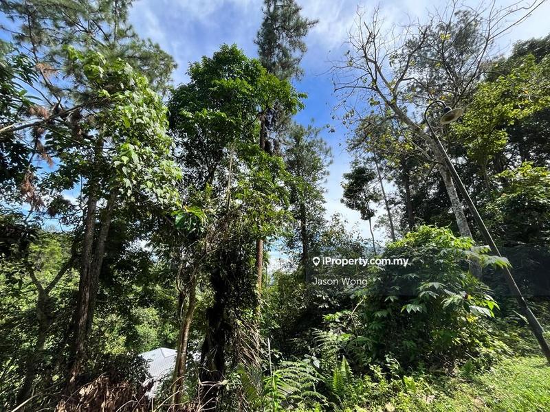 Bungalow Land for Sale in Bukit Tinggi, Bentong by Jason Wong - iProperty.com.my