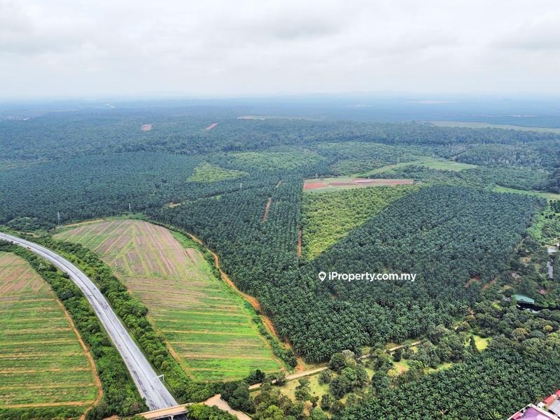 Agricultural Land for Sale in Kampung Batu 7, Port Dickson by Mohamad Faleeq - iProperty.com.my