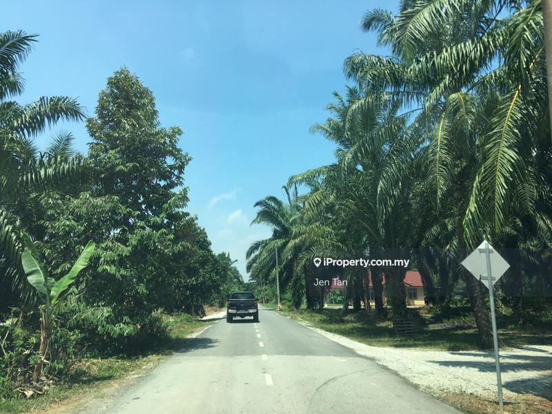 Agricultural Land for Sale in Kampung Parit Mahang, Ijok by Jen Tan - iProperty.com.my