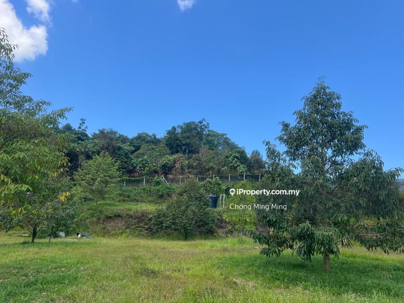 Agricultural Land for Sale in Kampung Pantai, Pantai by Chong Ming Ming - iProperty.com.my