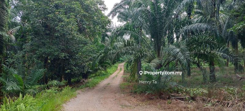 Tanah Pertanian untuk Dijual di Taman Dengkil, Dengkil oleh Henry Ta - iProperty.com.my