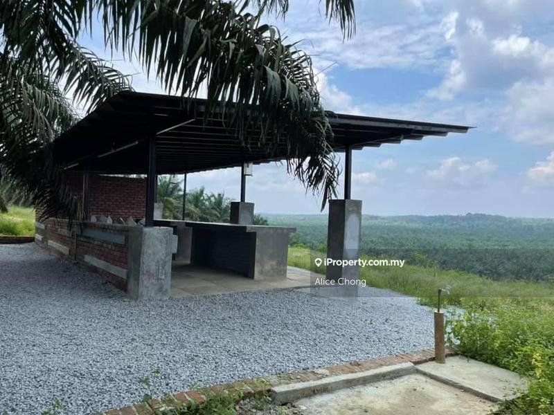 Agricultural Land for Sale in Kota Tinggi, Kota Tinggi by Alice Chong - iProperty.com.my