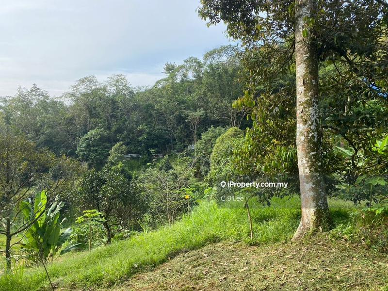 Residential Land for Sale in Broga, Lenggeng by C.B.Lee - iProperty.com.my