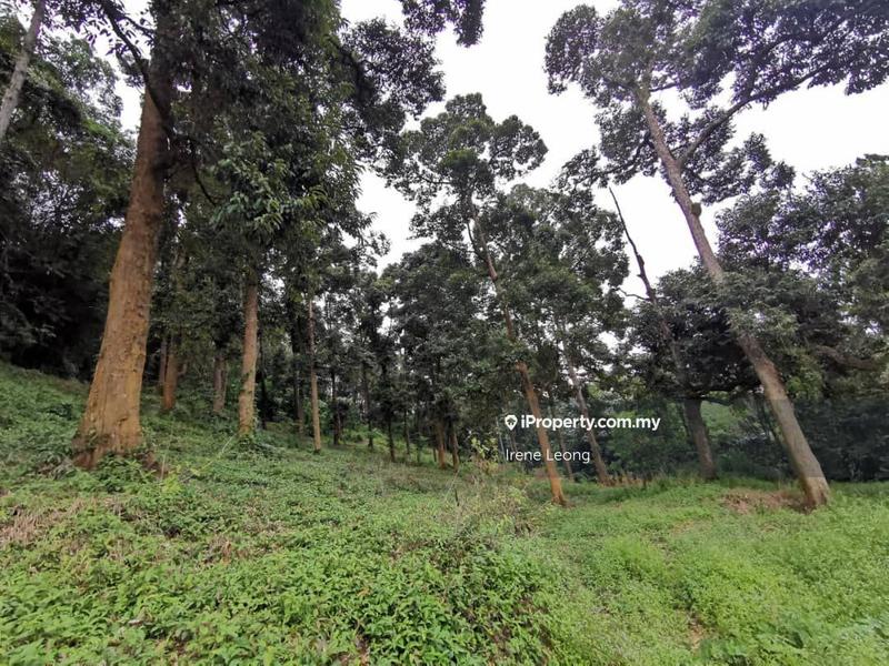 For Sale - 7 ac Bentong (Tmn Mawar Indah) Zooming Residential Development Land For Sales