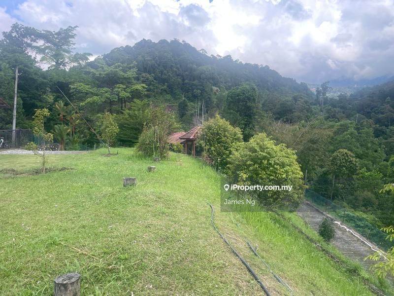 Agricultural Land for Sale in Bukit Tinggi, Bentong by James Ng - iProperty.com.my