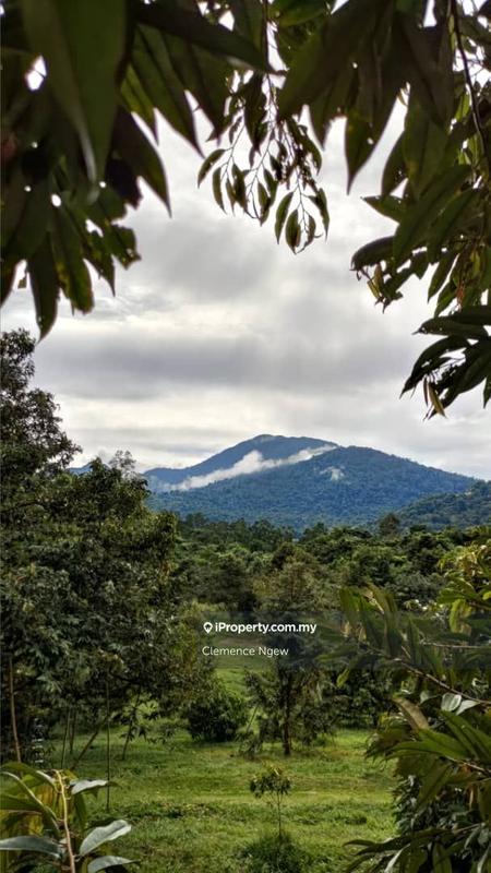 Agricultural Land for Sale in Ulu Slim, Slim River by Clemence Ngew - iProperty.com.my