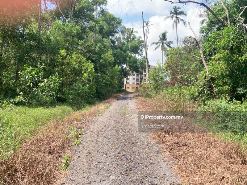 Agricultural Land for Sale in Kampung Sungai Ular, Sungai Karang by Ismael Stork - iProperty.com.my