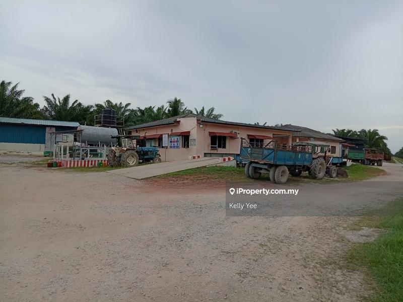 Tanah Pertanian untuk Dijual di Palm Oil Plantation @ Teluk Intan for Sale, Teluk Intan oleh Kelly Yee - iProperty.com.my
