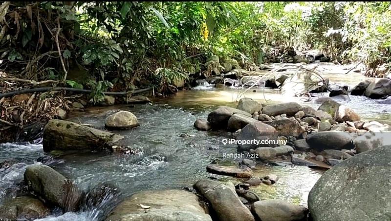 Tanah Pertanian untuk Dijual di Janda Baik, Bentong oleh Rafidah Aziz - iProperty.com.my