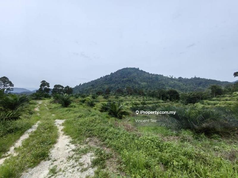 Tanah Pertanian untuk Dijual di Kampung Renal, Kuala Klawang oleh Vincent Tee - iProperty.com.my