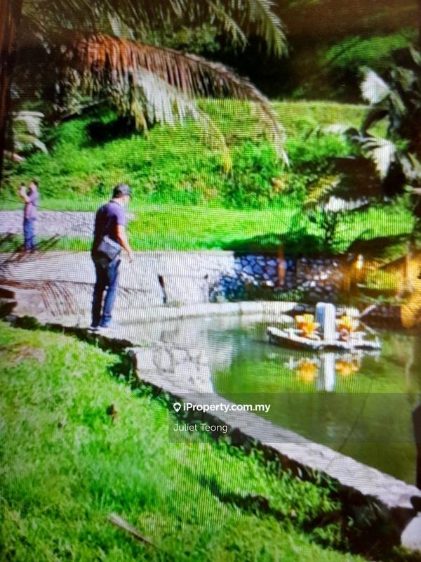 Agricultural Land for Sale in Bandar Raub Perdana, Raub by Juliet Teong - iProperty.com.my