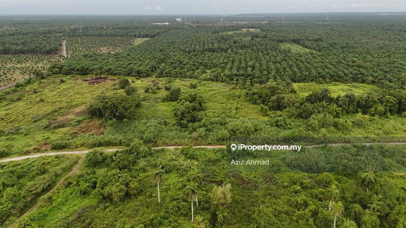 Tanah Pertanian untuk Dijual di Banting, Banting oleh Aziz Ahmad - iProperty.com.my