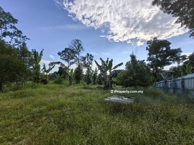 For Sale - 2 Acres Freehold Durian Farm Next to River Padang Tengku Kuala Lipis Raub Bentong