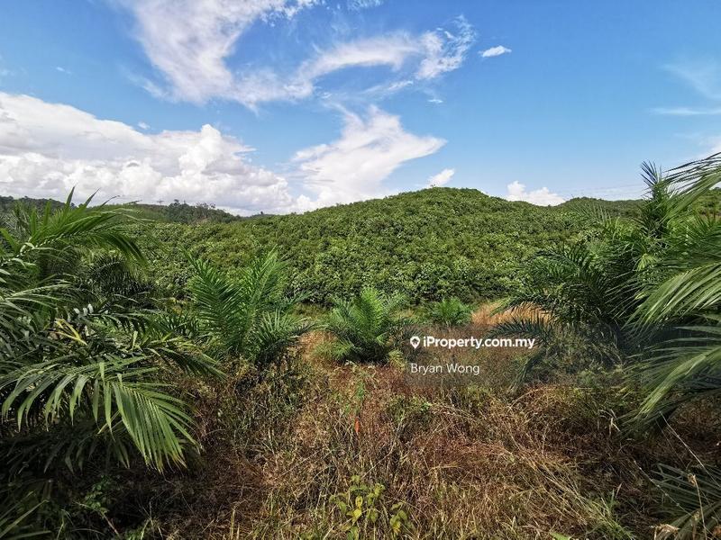 Agricultural Land for Sale in Penjom, Kuala Lipis, Pahang, Kuala Lipis by Bryan Wong - iProperty.com.my