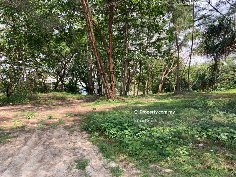 Agricultural Land for Sale in Kampung Sungai Ular, Sungai Karang by Ismael Stork - iProperty.com.my