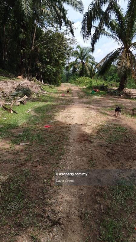 Tanah Pertanian untuk Dijual di Port Dickson, Negeri Sembilan oleh David Cheok - iProperty.com.my