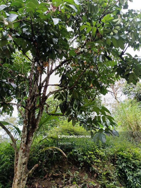 Agricultural Land for Sale in MANTIN, Seremban by Leo Hon - iProperty.com.my