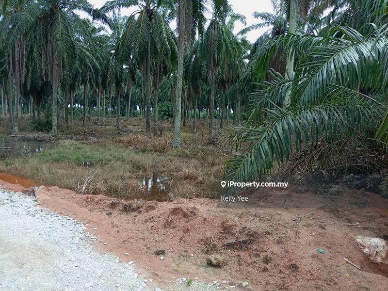 Agricultural Land for Sale in Changkat, Nibong Tebal by Kelly Yee - iProperty.com.my