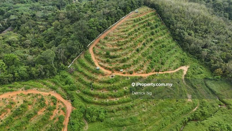 Tanah Pertanian untuk Dijual di x37oi, Gurun oleh Derrick Ng - iProperty.com.my