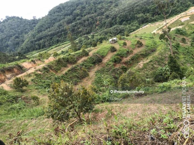 Agricultural Land for Sale in Karak, Pahang by Li-Shun - iProperty.com.my