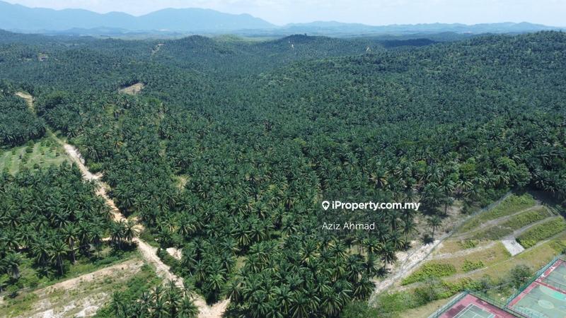 Agricultural Land for Sale in Rembau, Rembau by Aziz Ahmad - iProperty.com.my