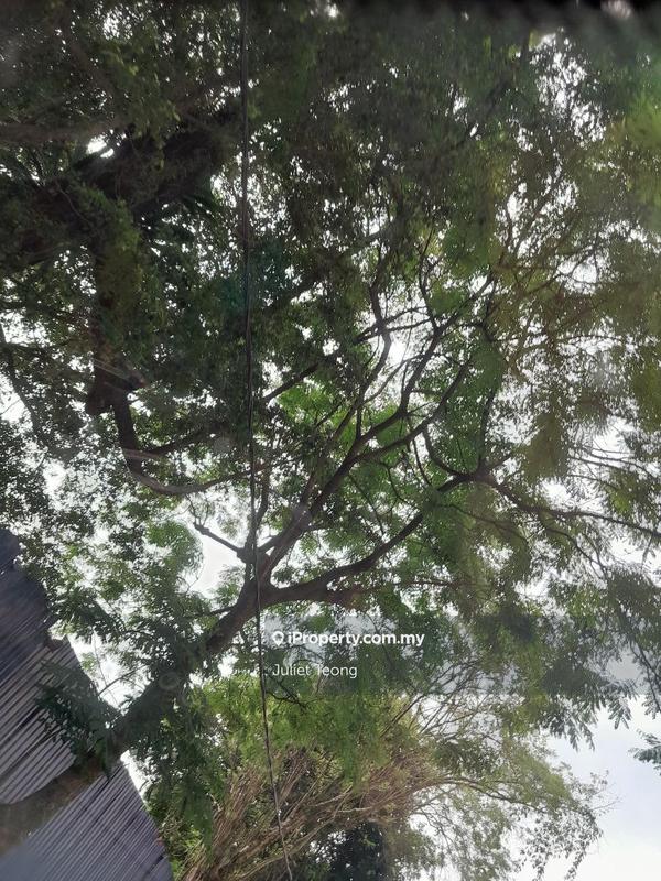 Agricultural Land for Sale in Bandar Raub Perdana, Raub by Juliet Teong - iProperty.com.my