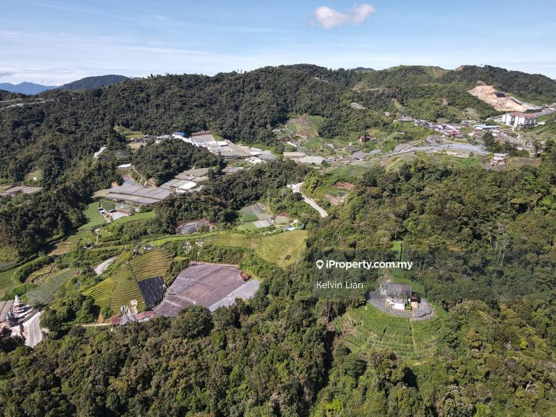 For Sale - 1.913 Acres Homestead Land with Tea Farm View