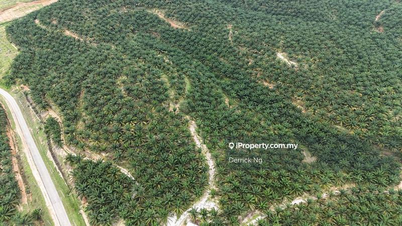 Tanah Pertanian untuk Dijual di Taman Kuala Ketil, Tawar oleh Derrick Ng - iProperty.com.my