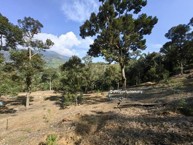 Tanah Pertanian untuk Dijual di Cheroh, Raub oleh Vincent Tee - iProperty.com.my