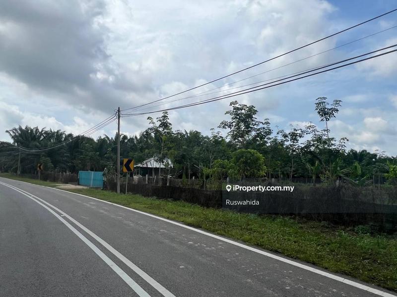 Agricultural Land for Sale in Asun, Jitra by Ruswahida - iProperty.com.my