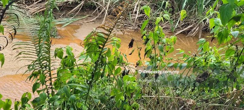 Agricultural Land for Sale in Batu Kurau, Perak by Amelyn Lee - iProperty.com.my