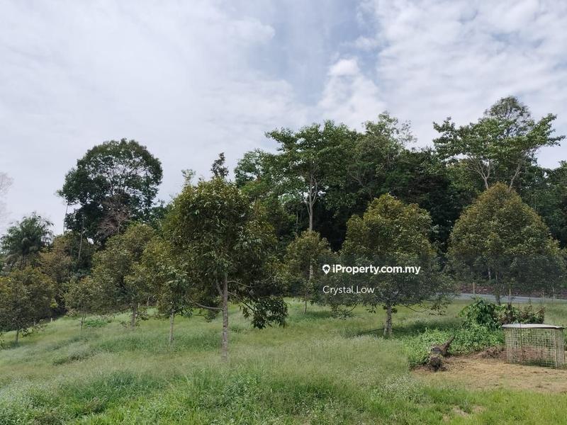 Tanah Pertanian untuk Dijual di Sega, Raub oleh Crystal Low - iProperty.com.my