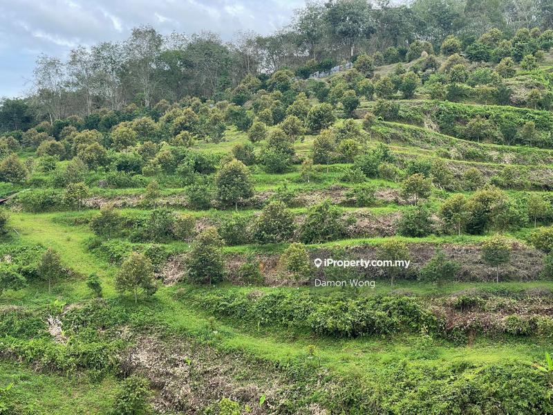 Tanah Pertanian untuk Dijual di Telemong, Bentong oleh Damon Wong - iProperty.com.my
