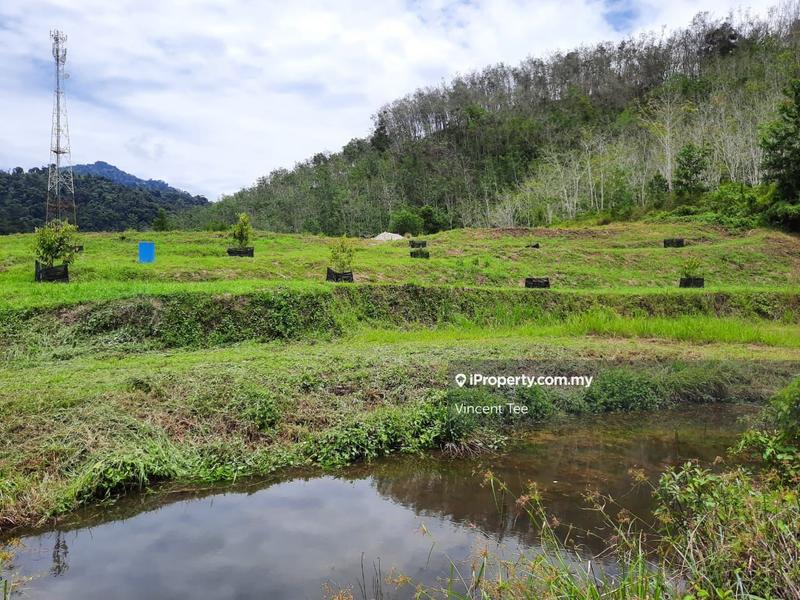 Tanah Pertanian untuk Dijual di Kampung Renal, Kuala Klawang oleh Vincent Tee - iProperty.com.my