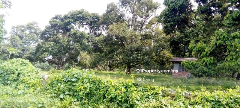 Agricultural Land for Sale in Taman Bemban, Bemban by Mr Ching - iProperty.com.my