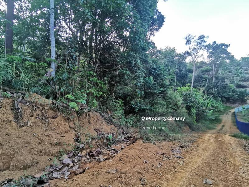 Agricultural Land for Sale in Karak, Karak by Irene Leong - iProperty.com.my