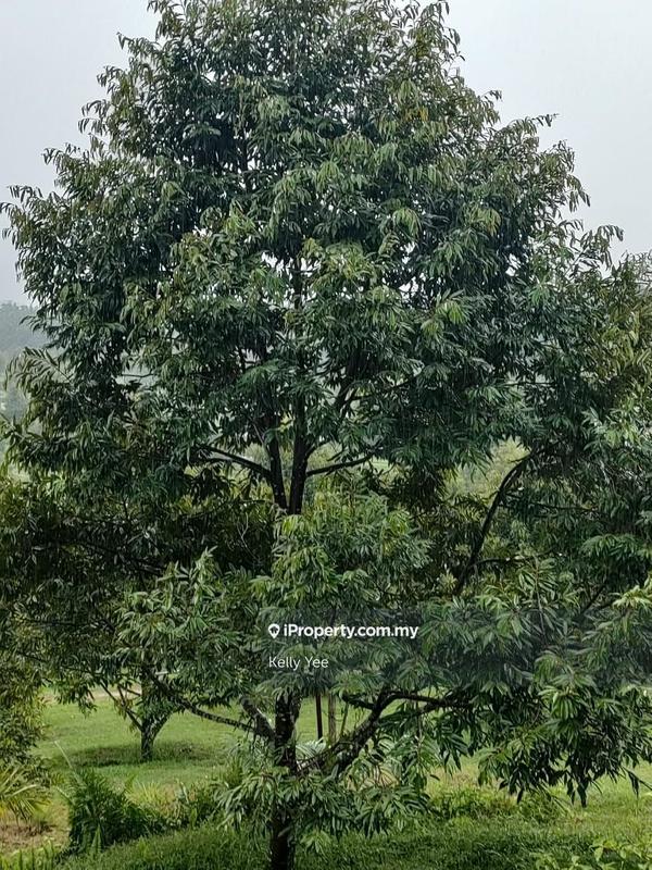 Tanah Pertanian untuk Dijual di Kampung Sungai Terap, Serdang oleh Kelly Yee - iProperty.com.my