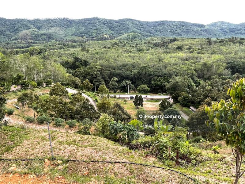 Agricultural Land for Sale in Karak, Bentong by Damon Wong - iProperty.com.my
