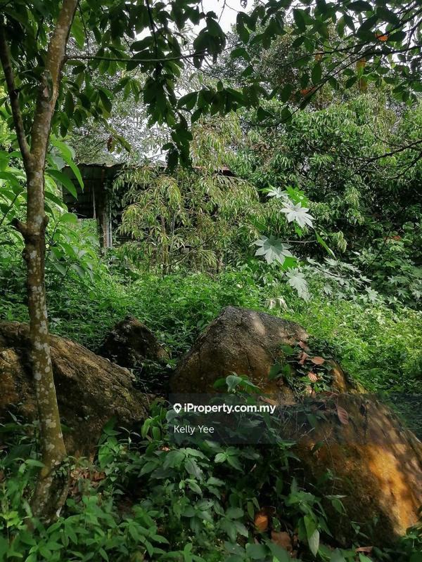 Agricultural Land for Sale in Bukit Mertajam Hill, Bukit Mertajam by Kelly Yee - iProperty.com.my