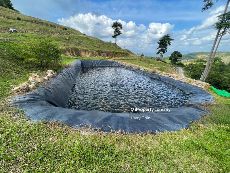 For Sale - The Valley ,Retire Plan,Retreat or Plantation Agricultural land Karak, Bentong