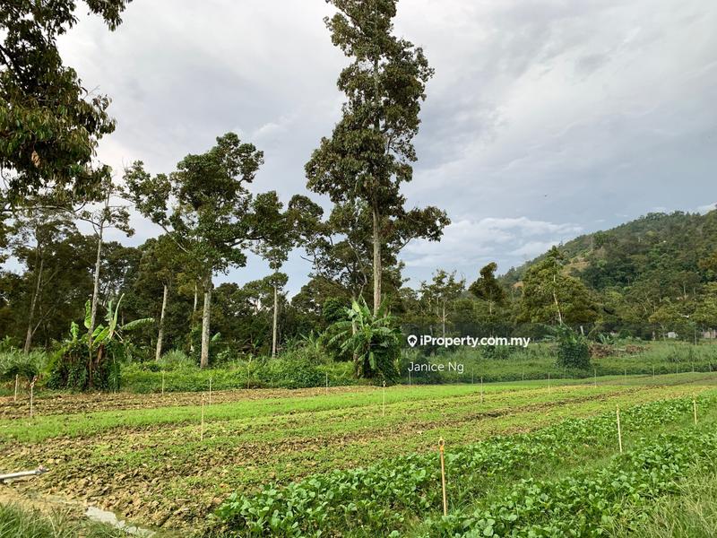 One of two access road