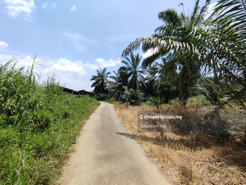 Agricultural Land for Sale in Telok Panglima Garang, Selangor by Sebastian Yap - iProperty.com.my