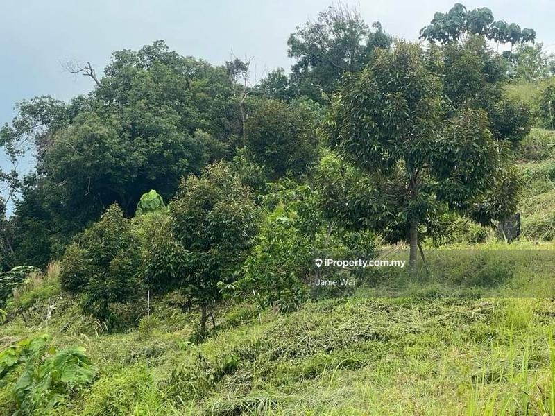 Agricultural Land for Sale in Taman Jelebu, Kuala Klawang by Janie Wai - iProperty.com.my