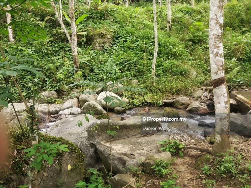 Tanah Pertanian untuk Dijual di Sungai Ruan Raub, Raub oleh Damon Wong - iProperty.com.my