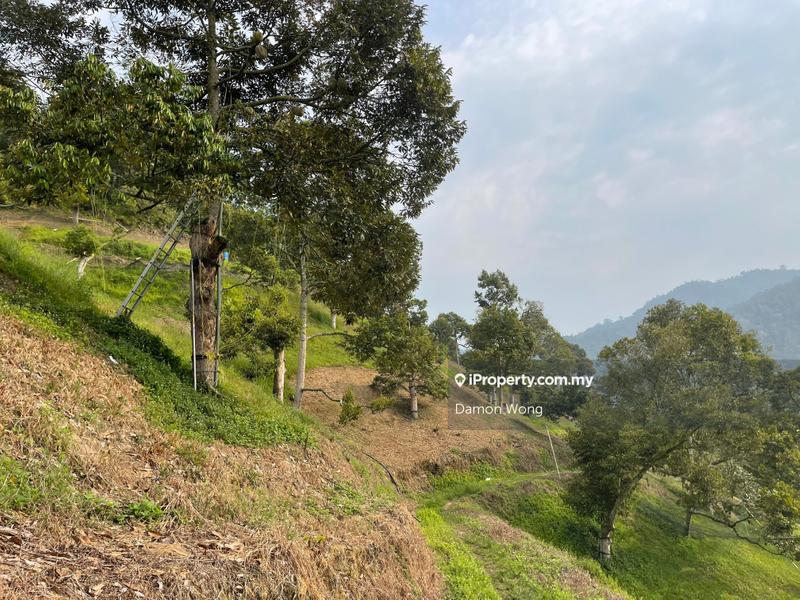 Tanah Pertanian untuk Dijual di Sungai Chetang, Raub oleh Damon Wong - iProperty.com.my