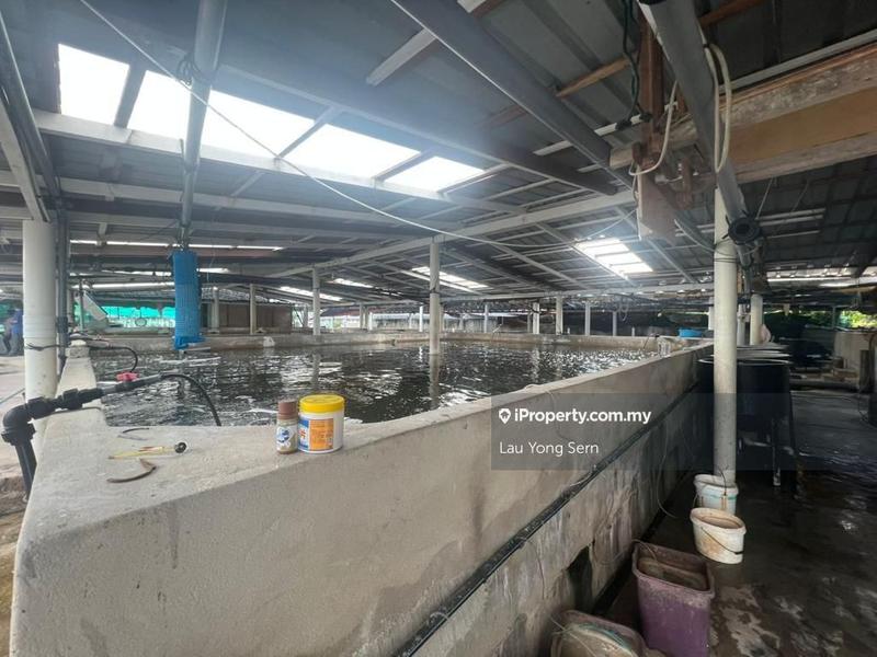 3-storey Terraced House for Sale in Bedong, Bedong by Lau Yong Sern - iProperty.com.my