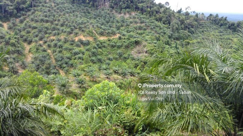 Tanah Pertanian untuk Dijual di Beaufort, Sabah oleh Liaw Vui Onn - iProperty.com.my