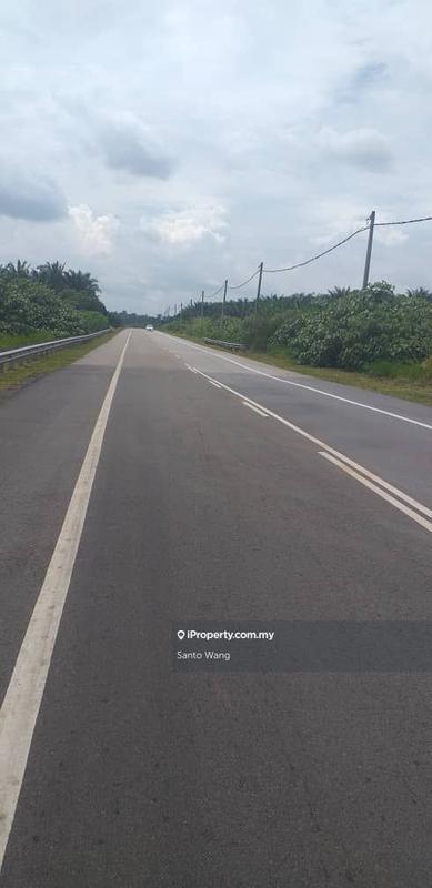 For Sale - Oil Palm land