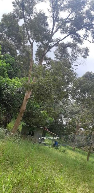 Tanah Pertanian untuk Dijual di Taman Jelebu, Kuala Klawang oleh William Ng - iProperty.com.my